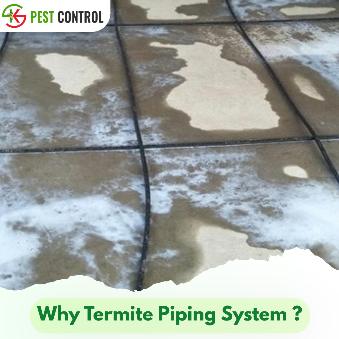 Why Anti Termite Piping System ?