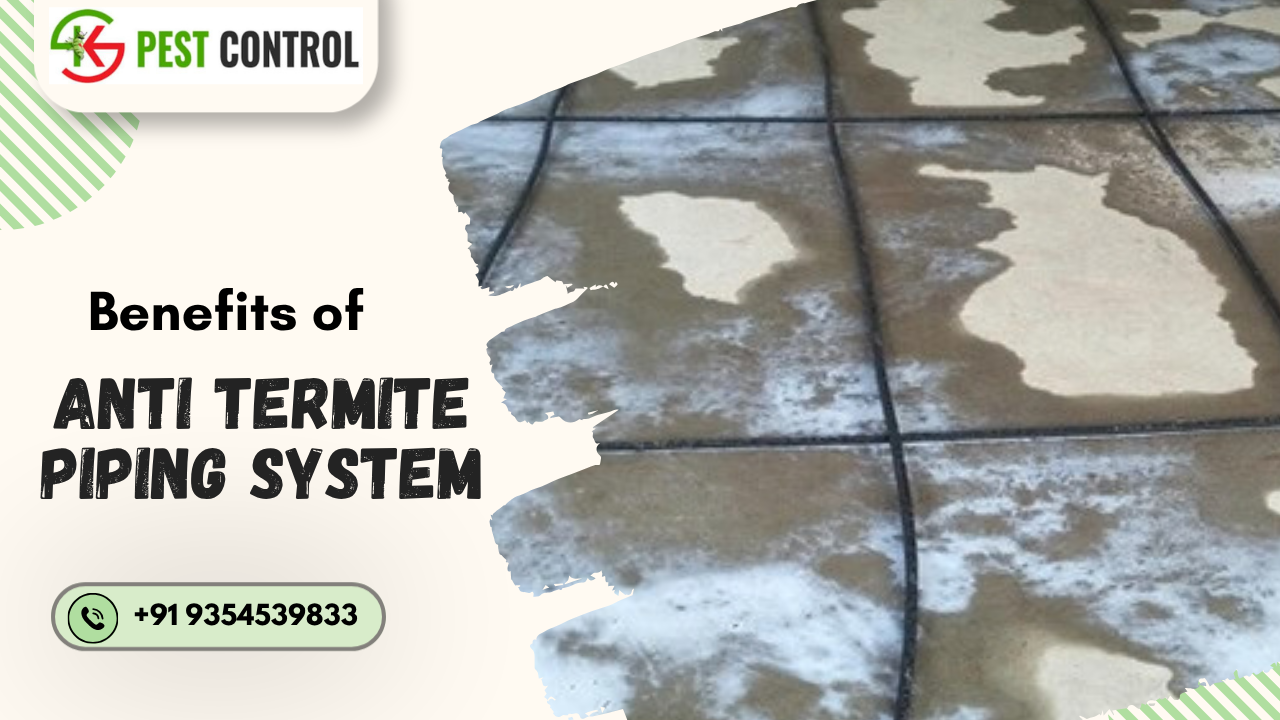 anti termite piping system