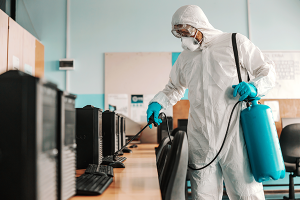 mold remediation