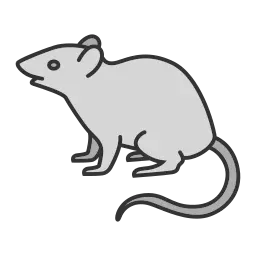 rat treatmnet