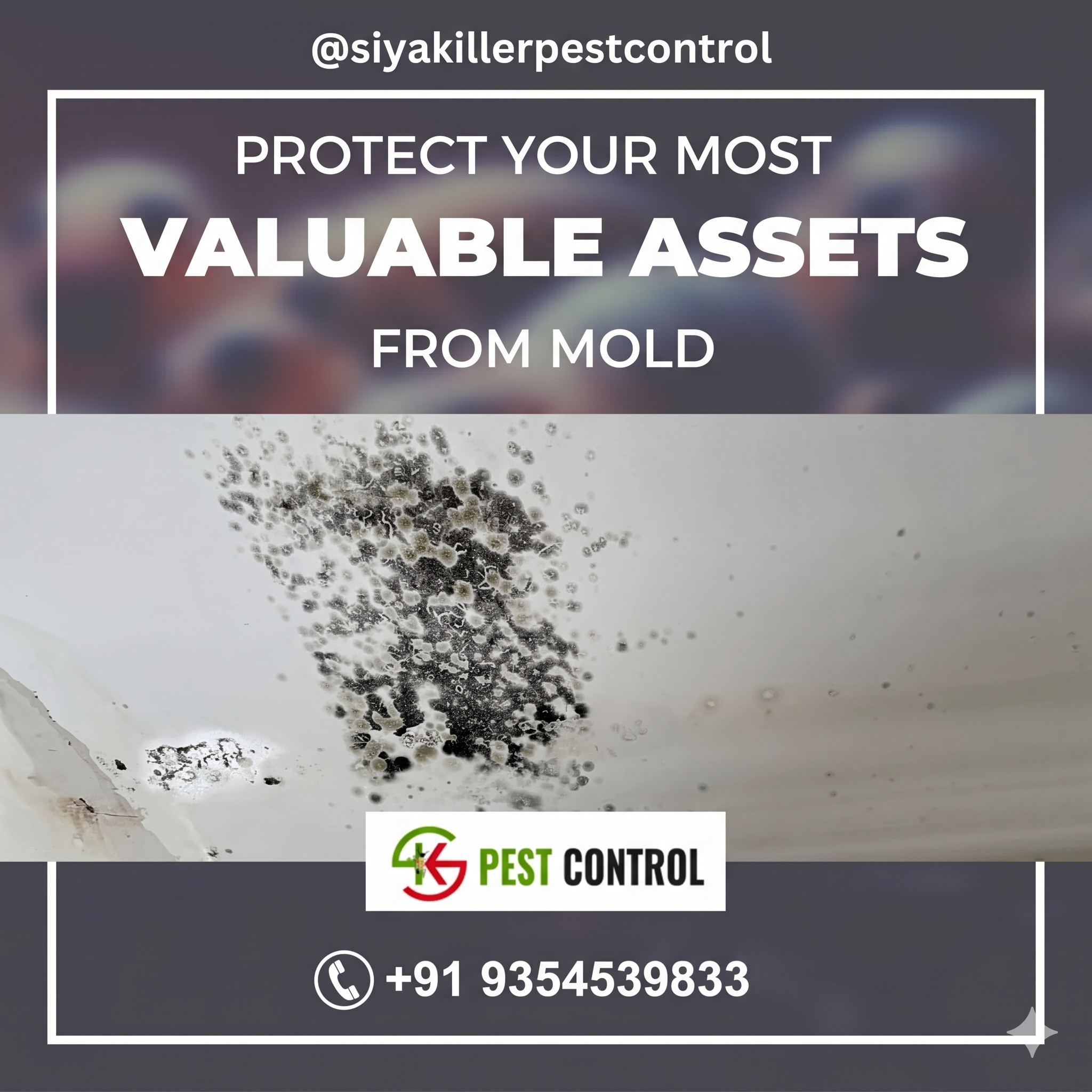 how to get rid of mold