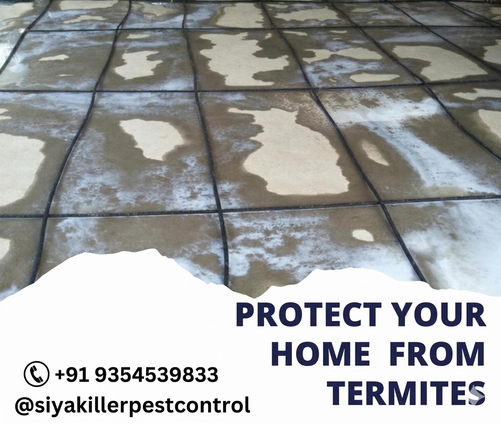 anti termite piping system