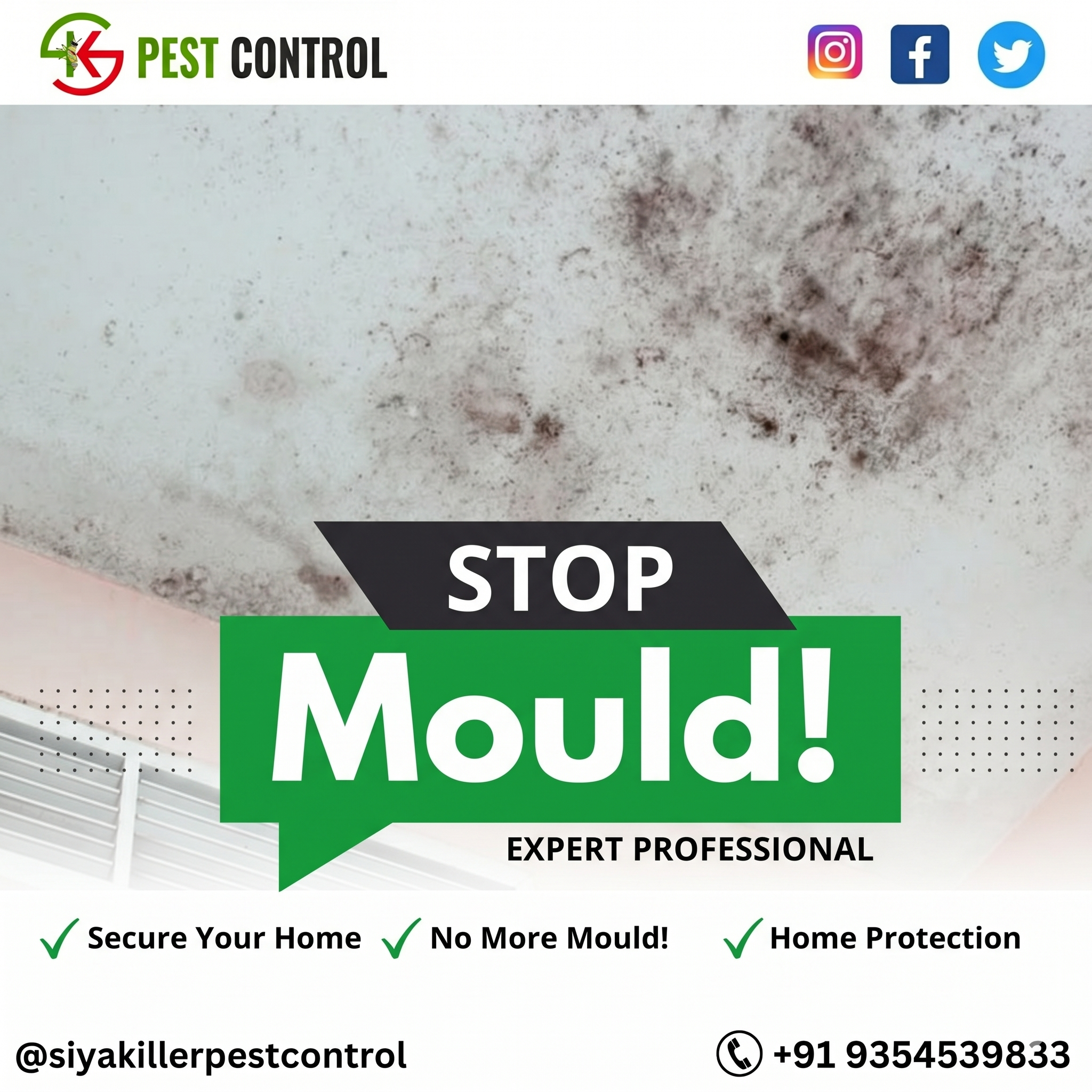 clean fungal infected wall │ clean mold on wall