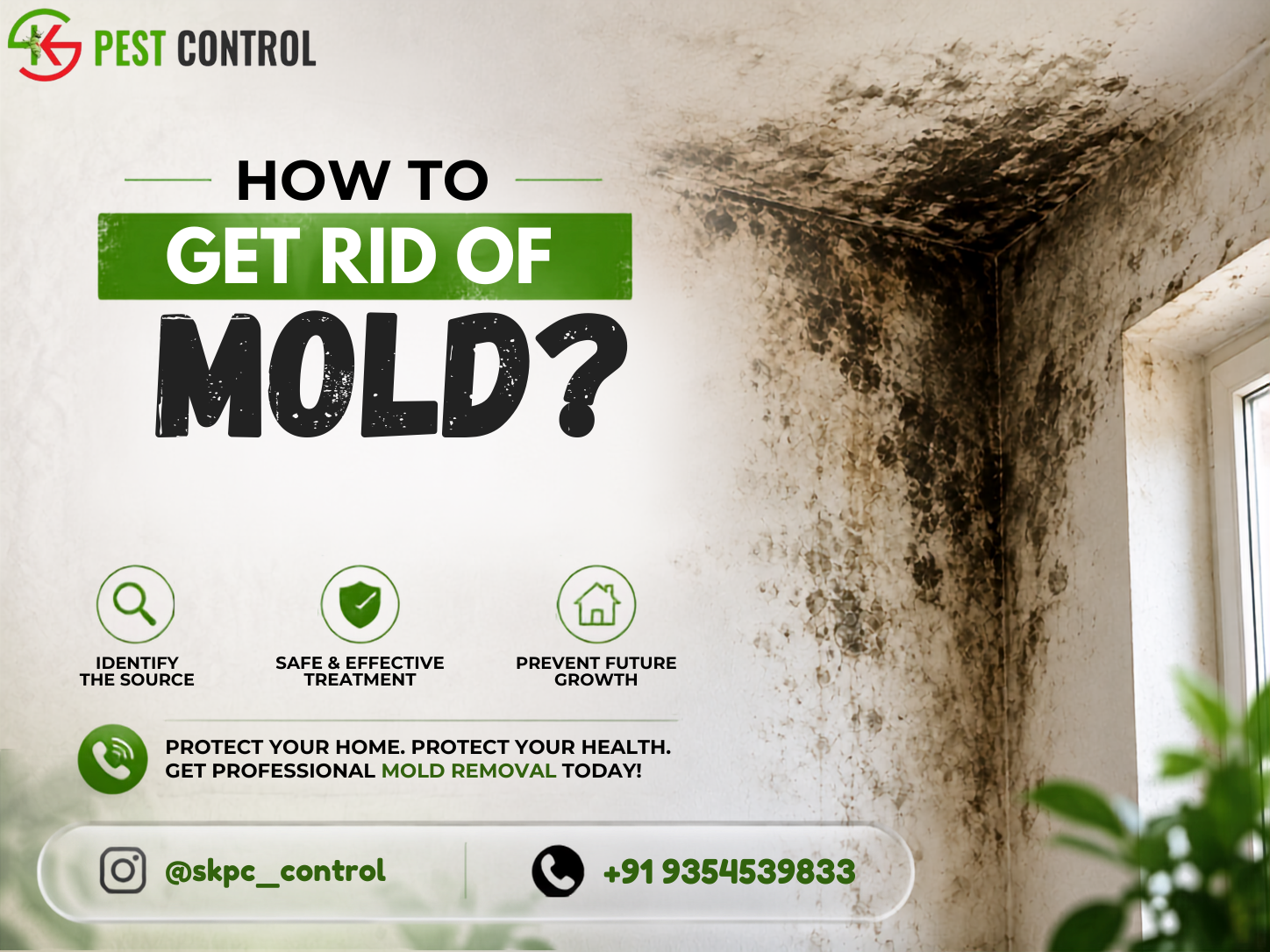 how to get rid of mold ?