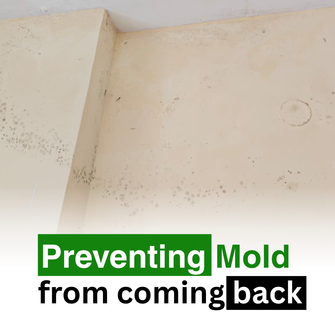 mold prevention
