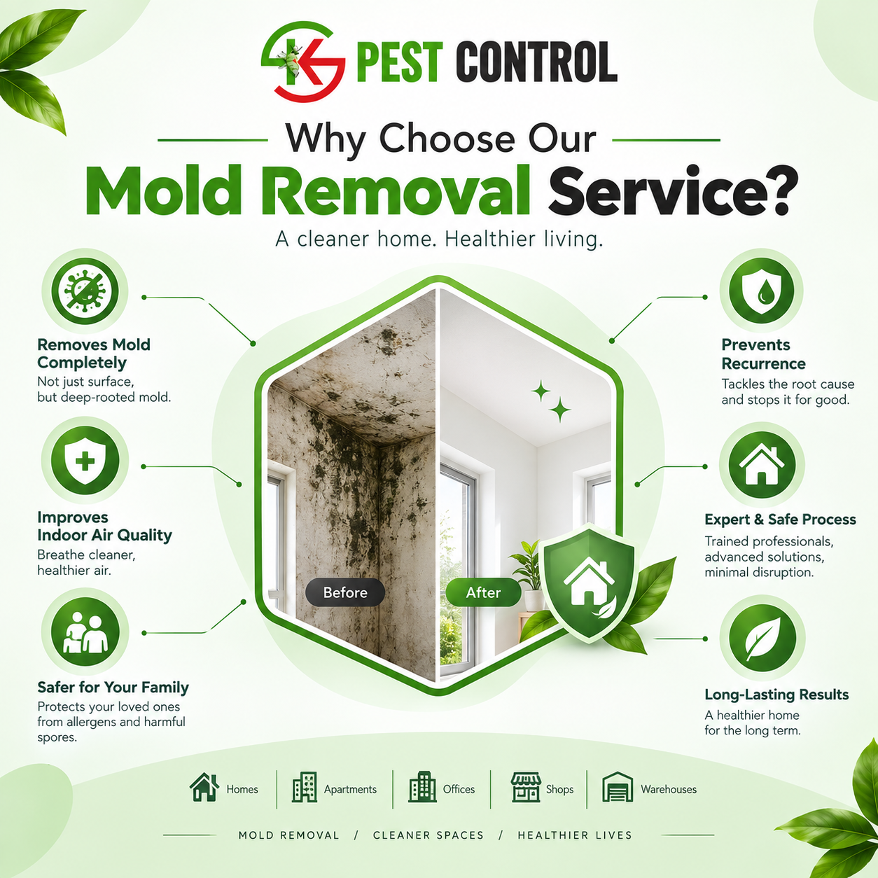 mold removal costing