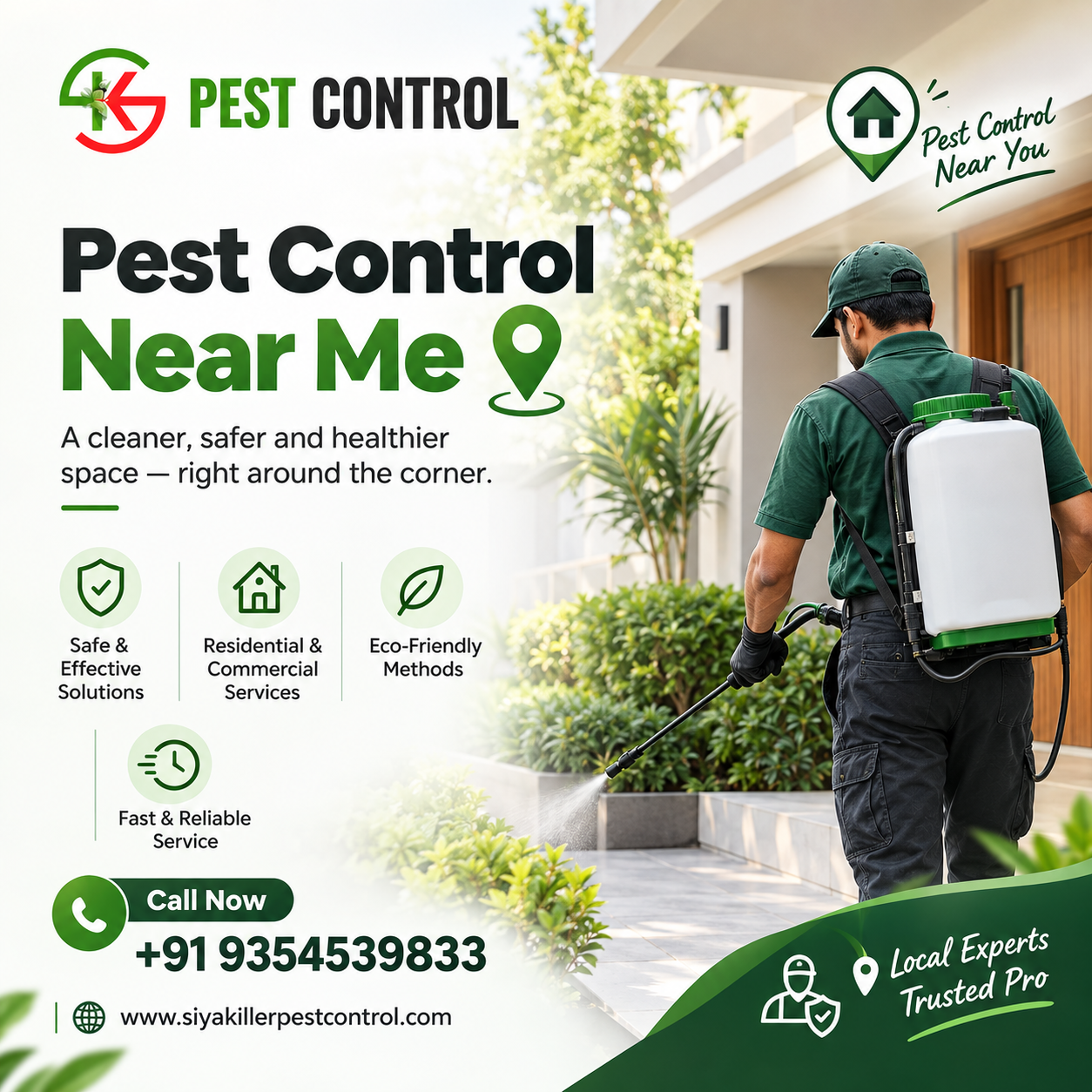 pest control delhi