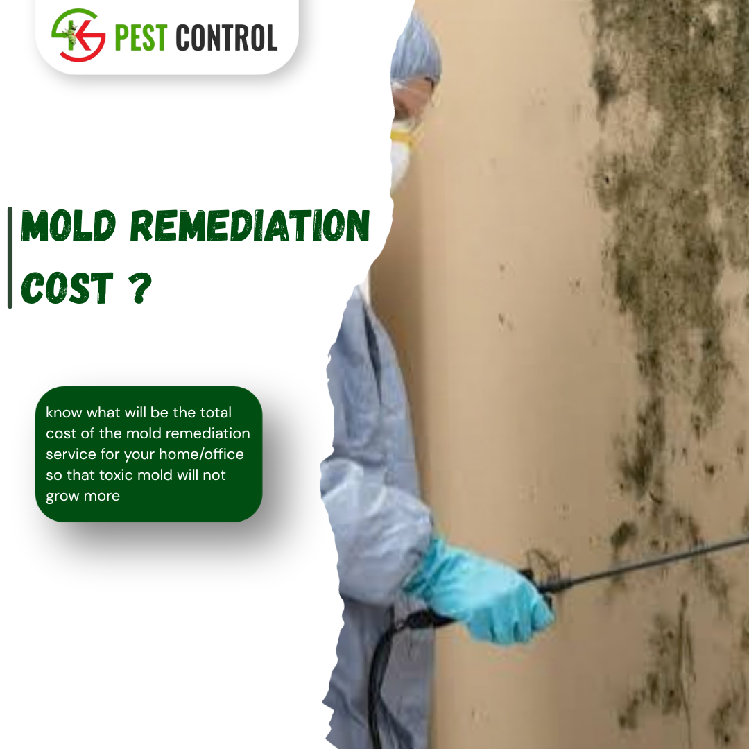mold remediation cost