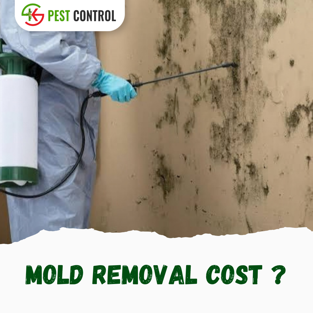 mold removal cost