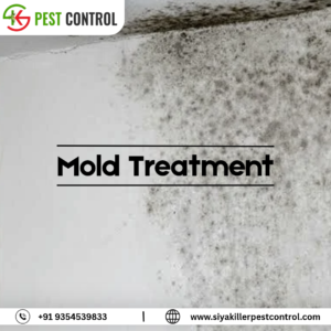 mold treatment