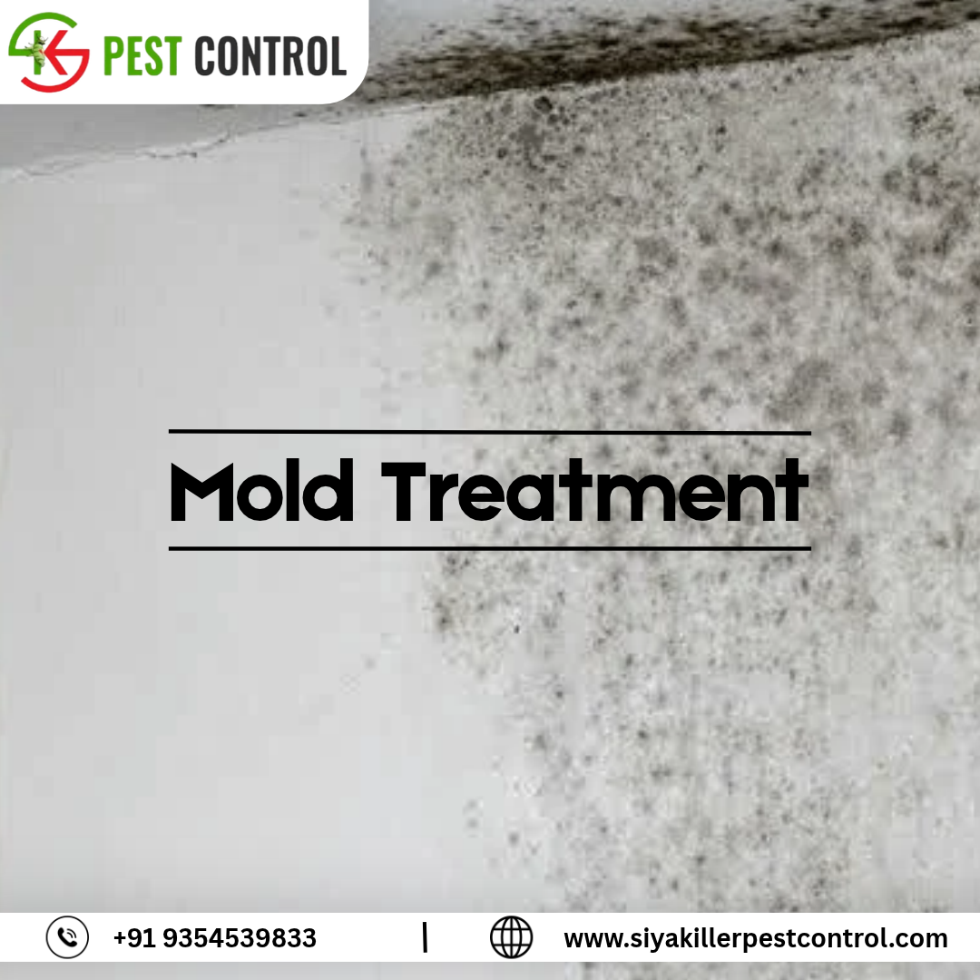 mold treatment