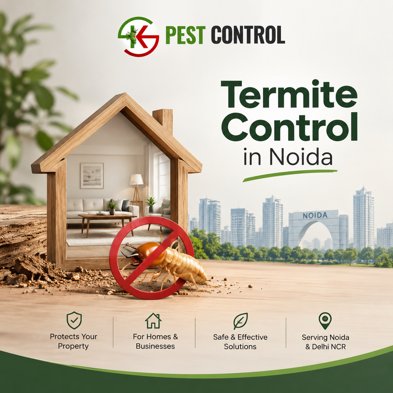 Termite Treatment in Noida