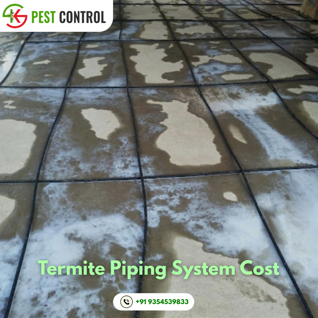 termite pipe installation cost